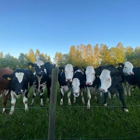 Mysig Stuga Naera Aestad Vingard & Spa Exterior foto